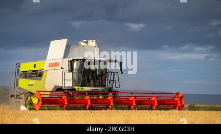 Récolte de l'orge d'hiver avec une moissonneuse-batteuse Claas Lexicon 7500 lors d'une soirée estivale orageuse, Ripon, North Yorkshire, Royaume-Uni. Banque D'Images