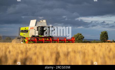 Récolte de l'orge d'hiver avec une moissonneuse-batteuse Claas Lexicon 7500 lors d'une soirée estivale orageuse, Ripon, North Yorkshire, Royaume-Uni. Banque D'Images
