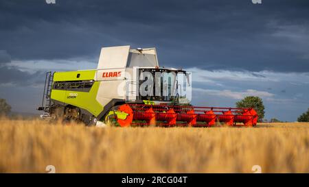 Récolte de l'orge d'hiver avec une moissonneuse-batteuse Claas Lexicon 7500 lors d'une soirée estivale orageuse, Ripon, North Yorkshire, Royaume-Uni. Banque D'Images