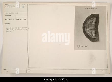 Sur cette photographie, les insignes de la 78e division du corps d'armée américain peuvent être vus à Vincennes, Seine, France. La photographie a été prise le 27 janvier 1919 par le lieutenant Thoner du signal corps. Cette image fait partie des documents officiels et a été émise le 27 mars 1919, avec le numéro d'identification 44986. Banque D'Images