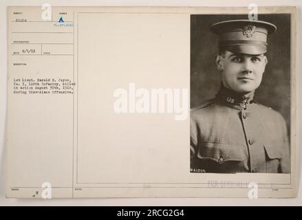 Le 1st Lieutenant Harold H. Joyce de la compagnie I du 128th Infantry est tué au combat le 30 août 1918 lors de l'offensive Oise-Aisne. Cette photographie, numérotée 61204, a été prise par un photographe militaire officiel et est datée du 1 août 1919. Banque D'Images