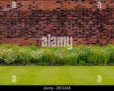 Haut mur de briques avec plantation de style prairie ci-dessous et pelouse verte luxuriante tondue au premier plan. Banque D'Images