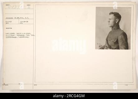 Soldat de la 61st Infantry, 5th Division, nommé lieutenant David M.N. Ross, à Differdange, Luxembourg. Photographie prise le 1 mars 1919 par le lieutenant William Pox. Cette photo fait partie d'une série documentant les activités militaires américaines pendant la première Guerre mondiale Banque D'Images