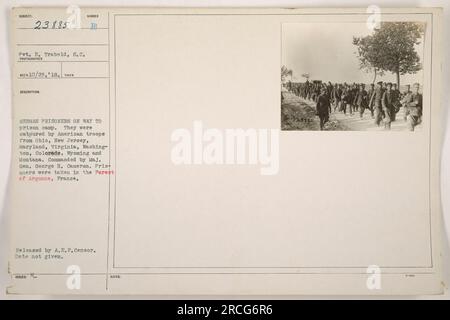 V. P. E. Trabold, 8. C. a pris cette photographie de prisonniers allemands capturés escortés par les troupes américaines de l'Ohio, du New Jersey, du Maryland, de la Virginie, de Washington, Colorado, Wyoming et Montana. Les prisonniers ont été faits dans la forêt d'Argonne, en France, pendant la première Guerre mondiale Cette image a été publiée par A.E.F. Censurer, mais la date exacte est inconnue. Banque D'Images