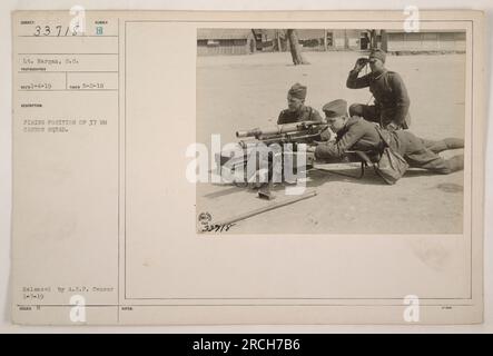 Cette photographie (111-SC-33718) montre le lieutenant Hargan, S.C. prise le 5-2-18. Il représente une position de tir d'une escouade de canons de 37 mm pendant la première Guerre mondiale. L'image a été publiée par A.E.P. Censor le 1-7-19 et a été publié avec des notes étiquetées 33718 3-904. Banque D'Images