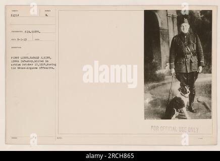 Le premier lieutenant Harold J. King du 128th Infantry est tué au combat le 10 octobre 1918 lors de l'offensive Meuse-Argonne. Cette photographie, sujet 61314, a été prise par un photographe du signal corps. L'image a été reçue le 1 août 1919 et est décrite comme ayant été prise dans des conditions difficiles. L'individu photographié est le premier lieutenant Harold J. King, victime de la première Guerre mondiale. Banque D'Images