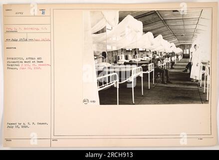 Le VP L. P. Goldshlag du signal corps est vu dans le service de bronchite, asthme et rhumatisme de l'hôpital de base # 101 à St. Nazaire, France, le 24 juin 1918. La photographie a été prise par Sunder E. Rech et publiée par le censeur de l'A. E. F. le 16 juillet 1918. Banque D'Images