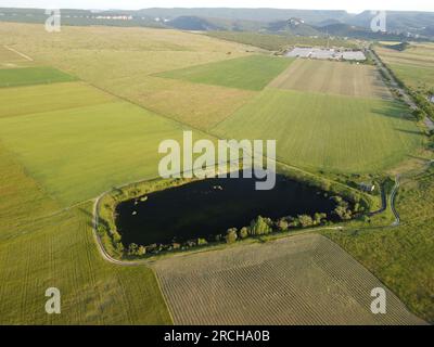 Vue aérienne sur un lac entouré d'un champ de blé vert à la campagne. Champ de blé soufflant dans le vent comme la mer verte. Épis d'orge dans la nature Banque D'Images