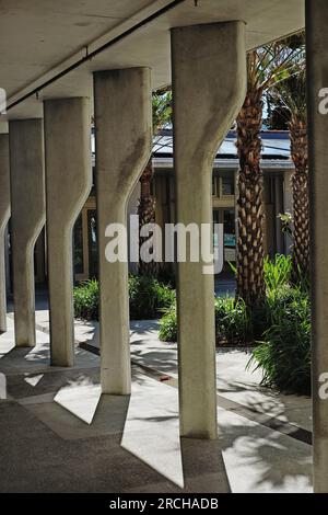 Colonnade en béton coulé, détails architecturaux de la rénovation et de la mise à niveau du Bondi Surf Pavilion adoucis par des ombres de palmiers Banque D'Images