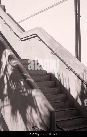 Détails du Bondi Surf Pavilion marches en béton coulé et balustrade, photo monochrome de la rénovation et de la mise à niveau adoucie par les ombres des palmiers Banque D'Images