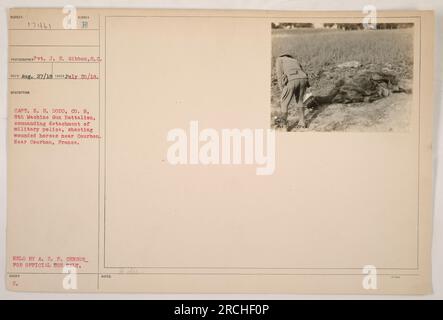 Légende : le capitaine H. S. Dodd, commandant un détachement de la police militaire, se livre à l'euthanasie de chevaux blessés près de Courbon, en France, pendant la guerre mondiale 1. La photographie a été prise le 20 juillet 1918 par le soldat J. E. Gibbon du signal corps. Cette image fait partie d'une collection documentant les activités militaires américaines pendant la guerre. Il est étiqueté 'SUBIECT 17461' et a été détenu par le censeur de l'A.E.P. pour un usage officiel seulement. Banque D'Images