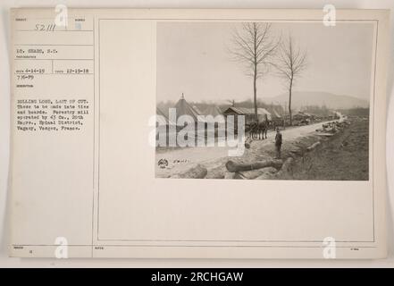 L'image montre des grumes laminées dans une usine forestière exploitée par la 43e compagnie, 20e ingénieurs, dans le district d'Épinal de Vagney, Vosges, France. Ces bûches sont les dernières à être coupées et seront utilisées pour fabriquer des liens et des planches. La légende comprend la description, le numéro du photographe, la date de prise de vue et des notes supplémentaires. Banque D'Images