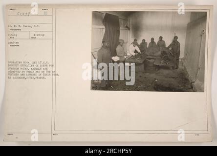 2nd Lt C.S. Burgett effectuant une intervention chirurgicale sur un cheval blessé par balle dans une salle d'opération. Les animaux sont solidement attachés à une table et abaissés sur le côté à l'aide de treuils. La photographie a été prise par le lieutenant R. W. Sears à le Valdahon, Doubs, France pendant la première Guerre mondiale. Banque D'Images