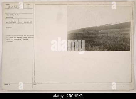 Des soldats stationnés à Bois du Fayel sont vus regardant vers le nord-est vers les hauteurs pendant la première Guerre mondiale La photographie, numérotée 111-SC-40155, a été prise le 16 novembre 1918 par le lieutenant Fox. L'emplacement est juste au sud-ouest de Murvaux, Meuse, France. Les notes sur l'image indiquent qu'elle a été émise le 26 février 1919 et qu'elle était liée aux activités militaires durant cette période. Banque D'Images