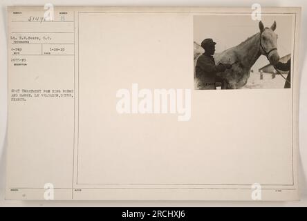 L'image montre un soldat, le lieutenant R.W. Sears, administrant un traitement ponctuel pour les teintures annulaires et la gale. L'emplacement est le Valdahon dans le Doubs, France. La photographie a été prise pendant la première Guerre mondiale et le numéro de référence est 4-549 RECO 51498 2855-19. Cette information a été publiée le 28 janvier 1919. Banque D'Images