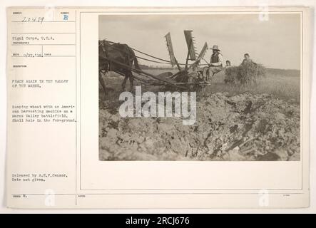 Soldats américains utilisant une machine de récolte pour ramasser du blé sur le champ de bataille de la vallée de la Marne pendant la première Guerre mondiale Un trou de coque est visible au premier plan. La photographie a été prise par un photographe de signal corps et publiée par le censeur de l'A.E.F. La date précise de la photographie n'est pas fournie. Banque D'Images