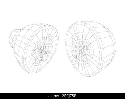 Icône vectorielle Wireframe fruit de papaye, dessin illustration monochrome. Nutrition saine, nourriture biologique, produit végétarien. Vecteur dessiné à la main papaye ill Illustration de Vecteur