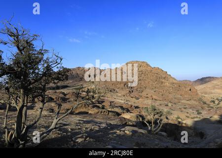 Vue sur le paysage autour de Wadi Ba'aja près de Little Petra, région Al-Sharat de Jordanie, Moyen-Orient Banque D'Images