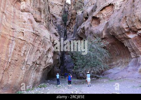 Marcheurs au barrage Nabatéen à Wadi Ba'aja près de Little Petra, région d'Al-Sharat en Jordanie, Moyen-Orient Banque D'Images