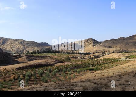 Vue sur le paysage autour de Wadi Ba'aja près de Little Petra, région Al-Sharat de Jordanie, Moyen-Orient Banque D'Images