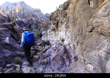 Promeneurs dans le paysage autour de Wadi Ba'aja près de Little Petra, région Al-Sharat de Jordanie, Moyen-Orient Banque D'Images