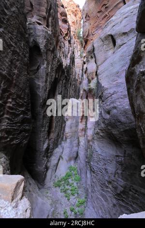 Marcheurs au barrage Nabatéen à Wadi Ba'aja près de Little Petra, région d'Al-Sharat en Jordanie, Moyen-Orient Banque D'Images