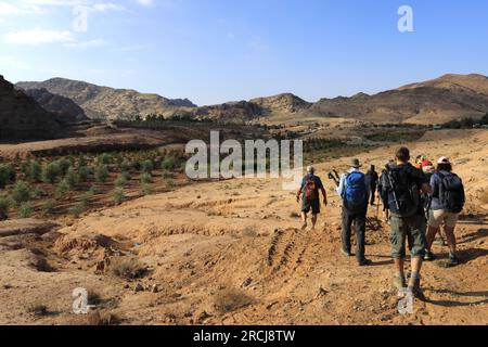 Promeneurs dans le paysage autour de Wadi Ba'aja près de Little Petra, région Al-Sharat de Jordanie, Moyen-Orient Banque D'Images