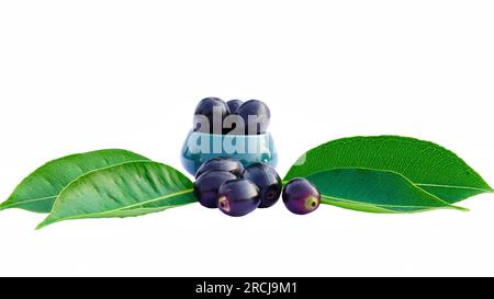 Feuilles fraîches d'arbre Jamun avec des fruits mûrs sur un fond blanc. Fruits sains dans un bol en céramique. Banque D'Images