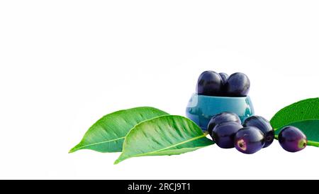 Prune Jambolan dans un bol en céramique avec des feuilles vertes isolent sur fond blanc. Concept de fruits sains et savoureux. Banque D'Images