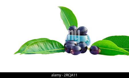 Prune Jambolan dans un bol en céramique avec des feuilles vertes isolent sur fond blanc. Concept de fruits sains et savoureux. Banque D'Images