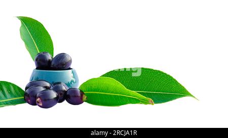 Jamun ou Syzygium Cumini dans un bol en céramique avec des feuilles isolées sur fond blanc avec Copy Space, également connu sous le nom de Java Plum, Malabar Plum, Black Plum Banque D'Images