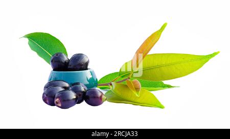 Prune Jambolan dans un bol en céramique avec des feuilles vertes isolent sur fond blanc. Concept de fruits sains et savoureux. Banque D'Images