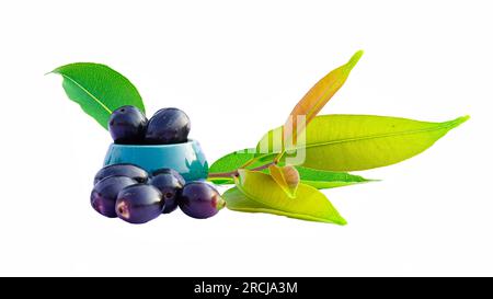 Jamun ou Syzygium Cumini dans un bol en céramique avec des feuilles isolées sur fond blanc avec Copy Space, également connu sous le nom de Java Plum, Malabar Plum, Black Plum Banque D'Images