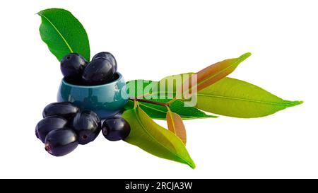 Jamun ou Syzygium Cumini dans un bol en céramique avec des feuilles isolées sur fond blanc avec Copy Space, également connu sous le nom de Java Plum, Malabar Plum, Black Plum Banque D'Images