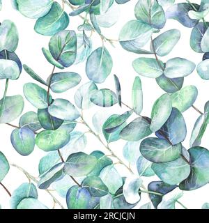 Motif sans couture à partir de feuilles de branches d'eucalyptus. Illustration aquarelle isolée sur fond blanc. L'application est conçue pour l'impression Banque D'Images