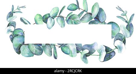 Cadre d'illustration aquarelle, carte de voeux de branches d'eucalyptus isolé sur fond blanc. Conçu pour la conception, l'impression, le tissu ou le fond, Banque D'Images