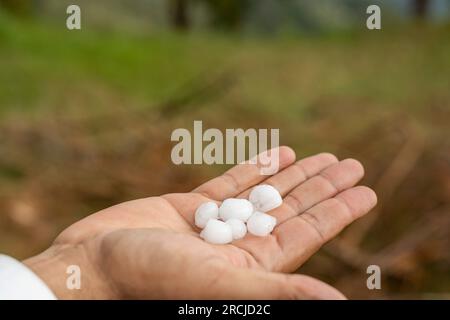 Tenir des boules de grêle en main après une forte tempête de grêle Banque D'Images