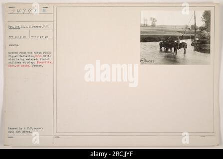 Sergent 1st Cl. L. G. Morper a capturé une image le 9-13-18 à Trenville, département de Meuse, France. La photographie montre des chevaux du 305e bataillon de signaux de terrain de la 80e division en train d'être arrosés, tandis que des enfants français jouent à proximité. Il a été adopté par le censeur A. E. F., avec la date de délivrance inconnue. Banque D'Images