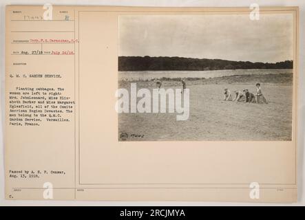 Des femmes du Comite American Region Devastes sont montrées plantant des choux dans le Q.M.C. Service de jardin à Versailles, Paris. Les hommes vus appartiennent au même service. Cette photographie a été prise le 24 juillet 1918 et a été approuvée par le censeur A. E. P. le 13 août 1918. Banque D'Images