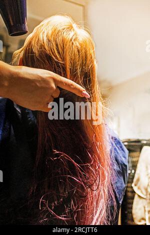 séchez les cheveux de couleur vive mouillée lilas et rose clair avec un sèche-cheveux Banque D'Images