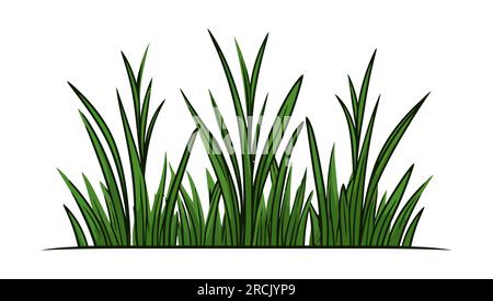 Herbe verte. Silhouette d'herbe verte isolée sur un fond blanc. Illustration vectorielle. Illustration de Vecteur