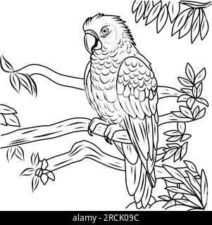 Page à colorier Parrot Macaw. Page de coloriage exotique oiseau Illustration de Vecteur