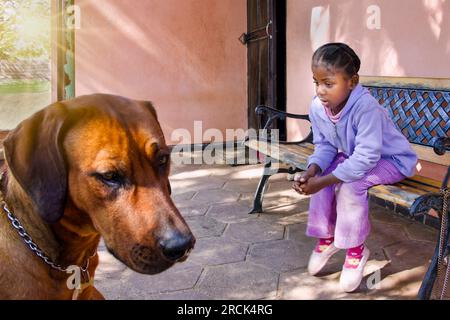 petite fille africaine avec des tresses située sur le banc devant la maison avec son chien ridgeback Banque D'Images