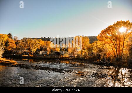 Rivière Animas avec tremble dans des couleurs d'automne vives dans le Colorado, États-Unis Banque D'Images