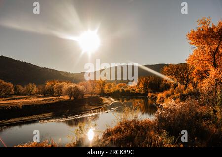 Rivière Animas avec tremble affichant des couleurs d'automne vives dans le Colorado, États-Unis Banque D'Images