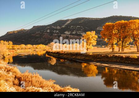 Rivière Animas avec tremble affichant des couleurs d'automne vives dans le Colorado, États-Unis Banque D'Images