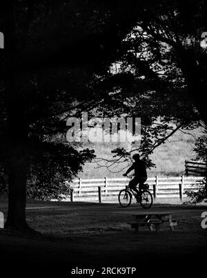 Un homme fait du vélo le long du Virginia Creeper Trail à Abingdon, Virginie, États-Unis Banque D'Images