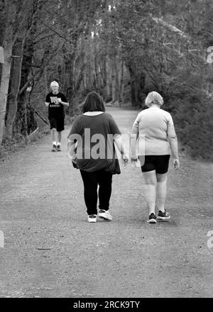 Deux femmes marchent le long du Virginia Creeper Trail, un sentier populaire de marche, de jogging et de vélo à chemin de fer à chemin à Abingdon, Virginie, États-Unis Banque D'Images