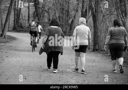 Trois femmes marchent le long du Virginia Creeper Trail, un sentier populaire de randonnée, de jogging, de marche et de vélo à Abingdon, en Virginie. Banque D'Images