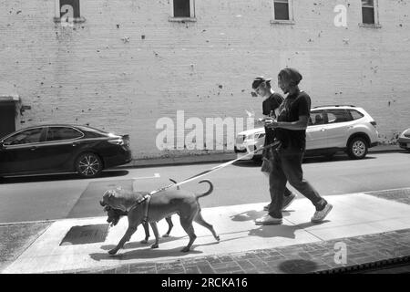 Deux jeunes hommes, l'un noir l'autre caucasien, marchent avec des animaux de compagnie le long d'un trottoir à Bristol, Virginie, USA Banque D'Images